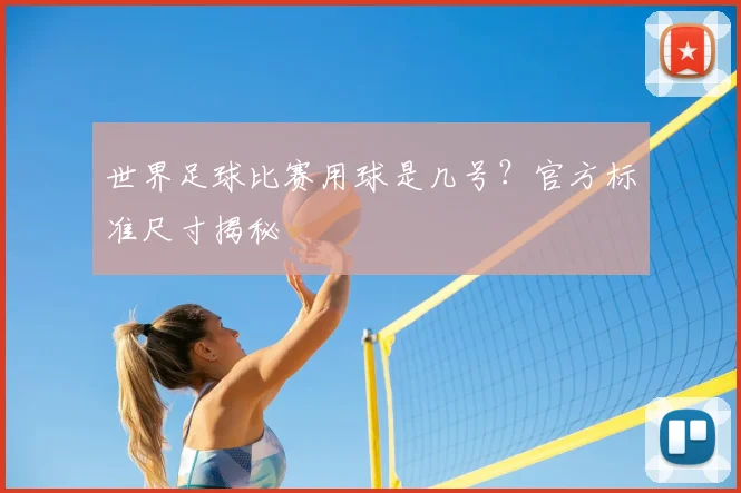 世界足球比赛用球是几号?官方标准尺寸揭秘