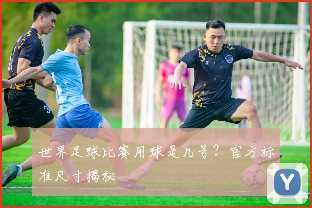 世界足球比赛用球是几号?官方标准尺寸揭秘